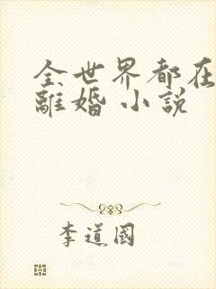 全世界都在等我离婚 小说