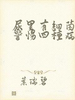 尿里有细菌需要警惕四种病