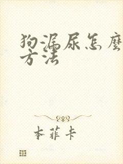 狗漏尿怎么解决方法