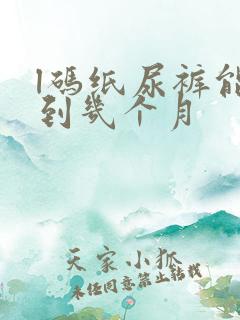 l码纸尿裤能穿到几个月