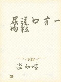 尿道口有一排小肉粒