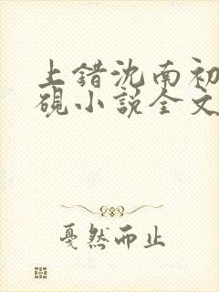 上错沈南初陆时砚小说全文免费阅读