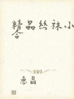 精品丝袜小说集合