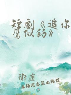 短剧《追你跟熬鹰似的》