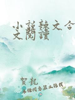 小说辣文合集全文阅读