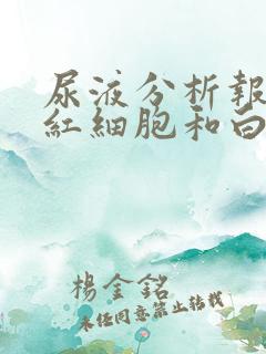 尿液分析报告中红细胞和白细胞高