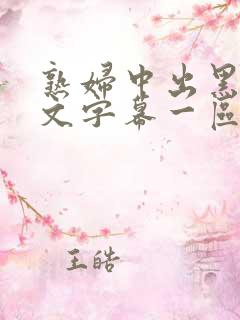 熟妇中出黑人中文字幕一区二区