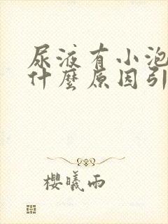 尿液有小泡泡是什么原因引起的