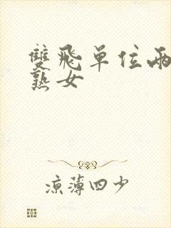 双飞单位两个老熟女