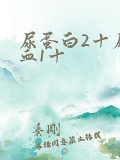 尿蛋白2十尿潜血1十