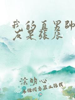 我的直男帅哥室友是张辰