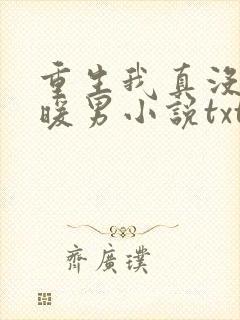 重生我真没想当暖男小说txt