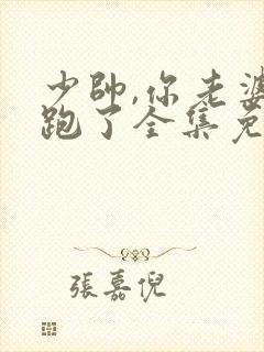 少帅,你老婆又跑了全集免费观看