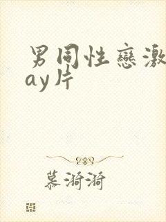 男同性恋激情gay片