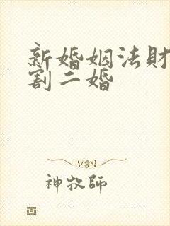 新婚姻法财产分割二婚