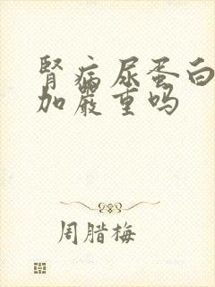 肾病尿蛋白3个加严重吗