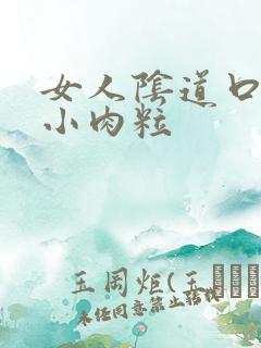 女人阴道口内张小肉粒