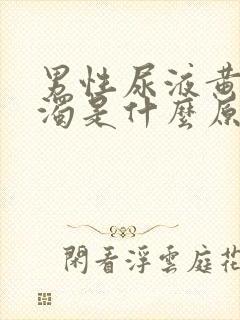 男性尿液黄色浑浊是什么原因