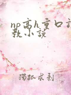 np高h重口调教小说