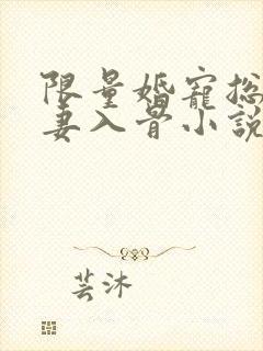 限量婚宠总裁爱妻入骨小说