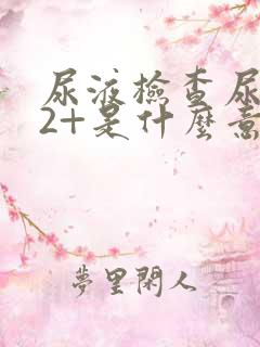 尿液检查尿潜血2+是什么意思