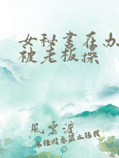 女秘书在办公室被老板操