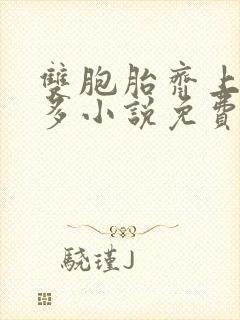 双胞胎齐上阵许多小说免费阅读