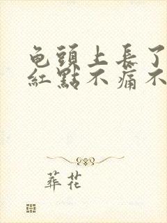 龟头上长了一颗红点不痛不痒