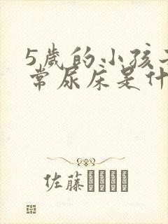 5岁的小孩子经常尿床是什么原因造成的