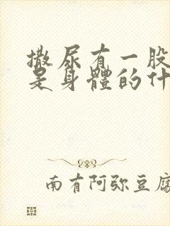 撒尿有一股味道是身体的什么原因