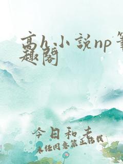 高h小说np笔趣阁