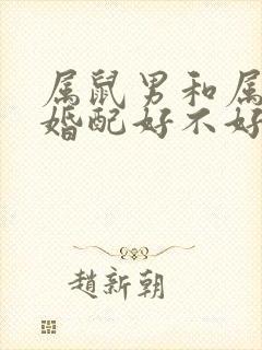 属鼠男和属鼠女婚配好不好