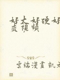 好大好硬好猛好爽视频