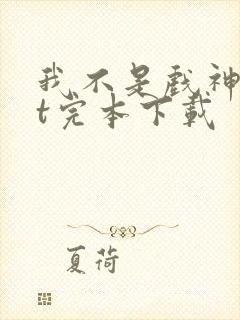 我不是戏神txt完本下载