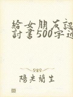 给女朋友认错检讨书500字通用
