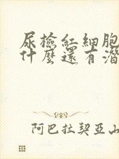 尿检红细胞0为什么还有潜血