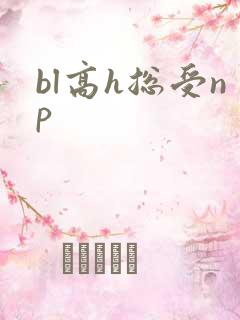 bl高h总受np