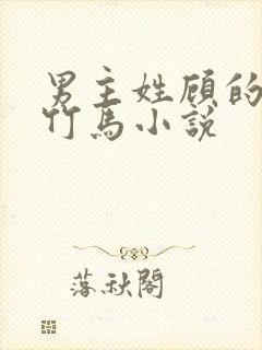 男主姓顾的青梅竹马小说