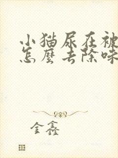 小猫尿在被子上怎么去除味道