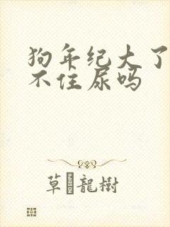 狗年纪大了会憋不住尿吗