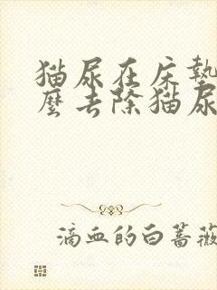 猫尿在床垫上怎么去除猫尿骚味