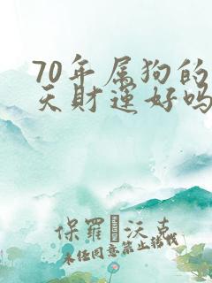 70年属狗的明天财运好吗