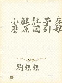 小腿肚子疼痛什么原因引起的