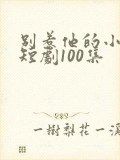 别惹他的小可怜短剧100集