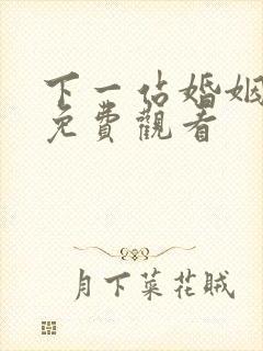 下一站婚姻全集免费观看