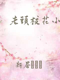 老头校花小说