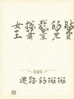 女总裁的贴身兵王萧晨免费