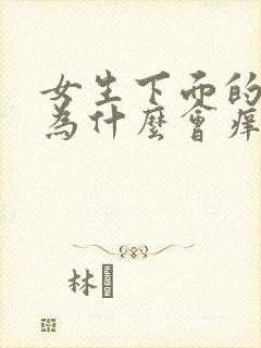 女生下面的毛毛为什么会痒