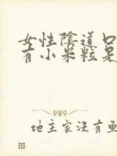 女性阴道口边上有小米粒是怎么回事