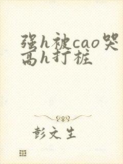 强h被cao哭高h打桩